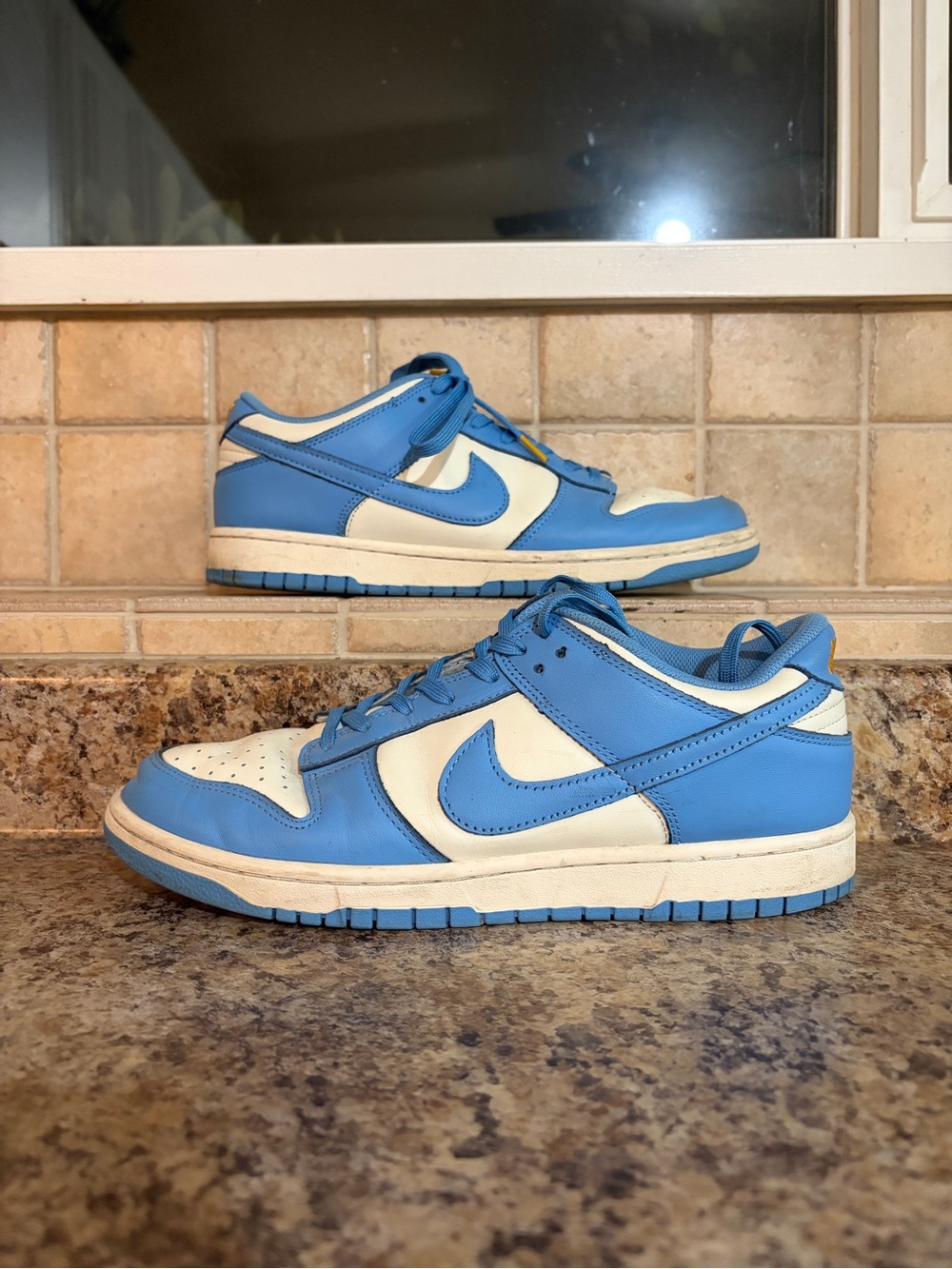 Nike Dunk Low Coast